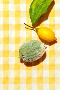Mouldy lemon