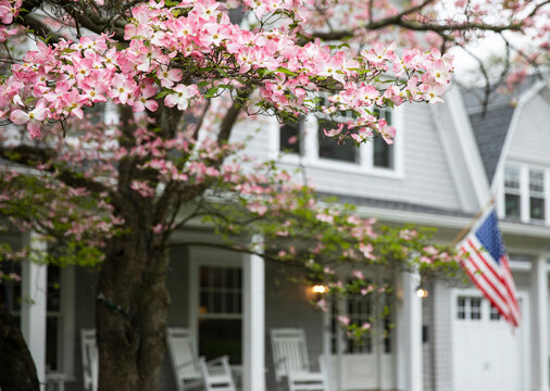 Spring Season pink Dogwood Tree American Flag 