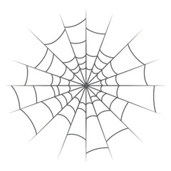 Obraz premium Detailed intricate spider web illustration isolated on transparent background