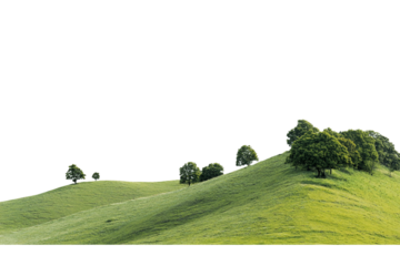 Rolling Green Hills with Trees Against a, Pastoral Landscape, Serene Nature Scene isolated on transparent background