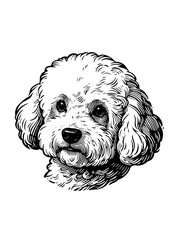 Cute Dog Illustration
