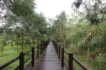 A bridge made of wood in the middle of the forest