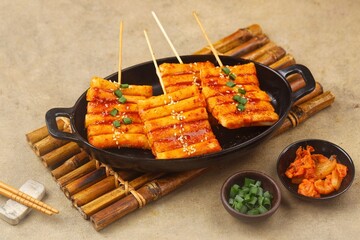 Tteok kochi is tteokbokki that is skewered so it looks like satay