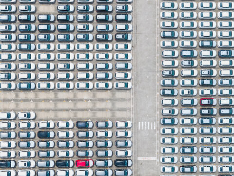 New Car Export Fleet at Port Trading Company Lot