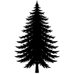 Fototapeta premium Douglas Fir tree vector silhouette illustration isolated on white background