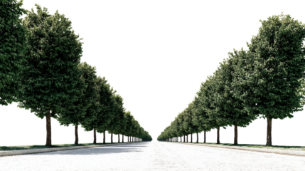 A serene avenue lined with lush trees under a clear sky, perfect for nature lovers and outdoor enthusiasts.