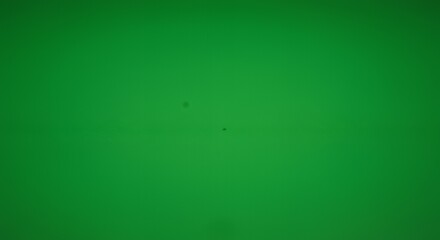 Subtle Green Gradient Background with Circular Light Pattern