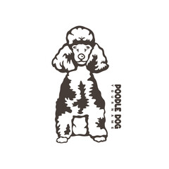 Poodle Dog logo design vector. Silhouette Poodle Dog Template Illustration. Icon Symbol