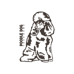 Poodle Dog logo design vector. Silhouette Poodle Dog Template Illustration. Icon Symbol