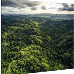 Fototapeta premium Aerial View Lush Green Forest Hills