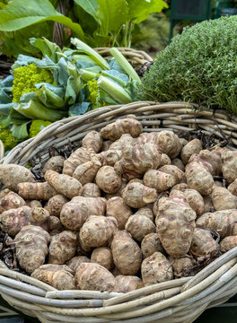 Rustic Jerusalem Artichoke Display