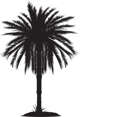 Fototapeta premium palm tree silhouette