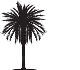 palm tree silhouette