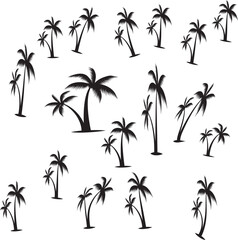 silhouette of palm trees