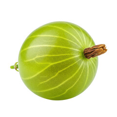 Single green gooseberry fruit with stem isolated on transparent background
