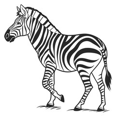 Fototapeta premium White back ground a black and white illustration of a Zebra.