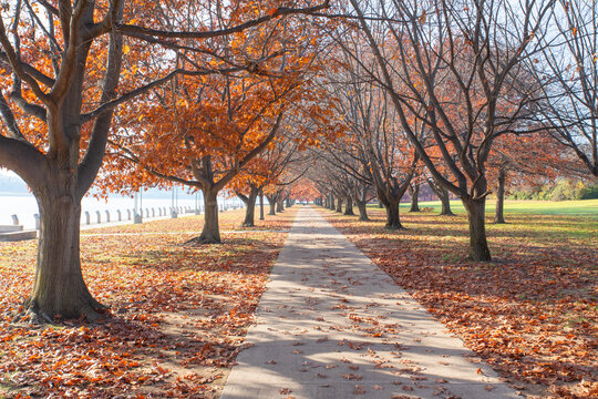 Autumn in Canberra. Australian Capital Territory. Australia.