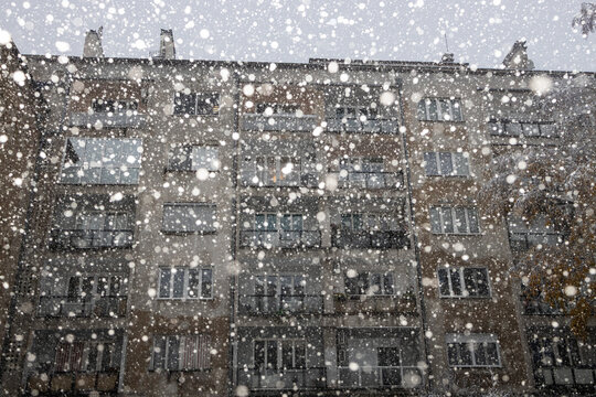 Snow in the winter