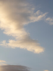 Overlay de Ciel Tropical – Ambiance Exotique pour Compositions Vibrantes