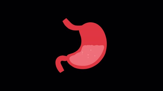 stomach Acid Reflux animation on black background, acid reflux disease digestive problem animated with alpha channel.