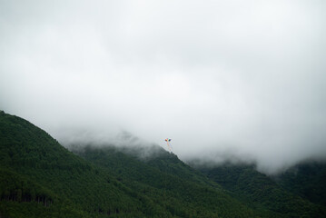 A Kite in the Mist &ndash; Playful Flight over Quiet Mountains