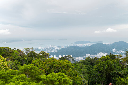 Contrast between lush tropical forest and urban development