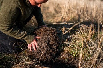 woman in agriculture looking at a soil sample. girl on a farm looking at plant roots