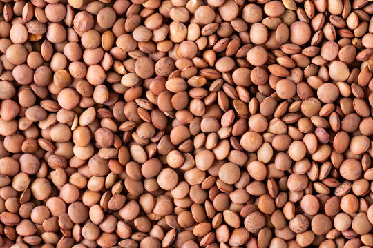 Brown organic lentil texture background