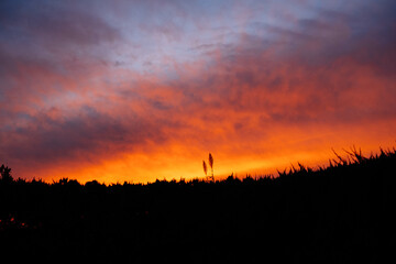 Flames in the Sky – Sunset Silhouettes