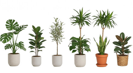 Six indoor potted plants isolated on transparent PNG background for home decor, gardening, and nature concepts