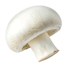Single White Button Mushroom with Smooth Cap High-Resolution Image for Culinary and Botanical Uses