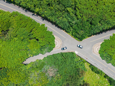 Aerial View of Forest Road Intersection with Cars