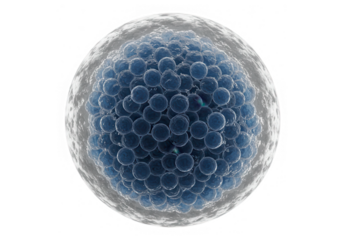 A detailed 3d rendering of a microscopic cell, isolated on transparent background