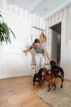 Woman greeting her dogs in a bright apartment entrance