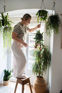 Woman hanging a fishbone cactus plant in her apartment