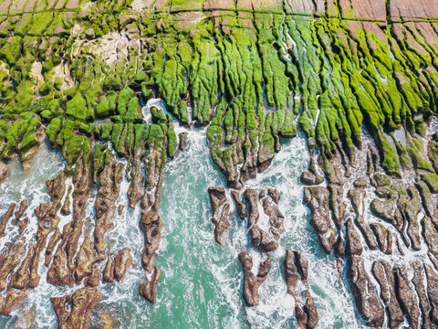 Green Algae Reef Taiwan Spring Seascape