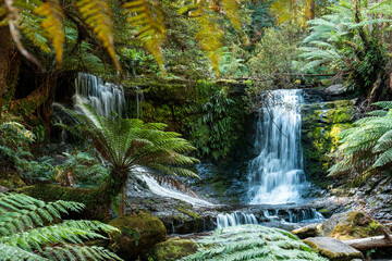 tourist hiking in a national park, taking a photo and looking at a waterfall in a forest in...
