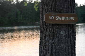A rustic ‘No Swimming’ sign posted on a tree beside a tranquil lake, highlighting safety rules and adding a subtle, cautionary note to a peaceful natural landscape.