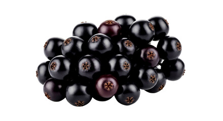 Luscious Blackberries: A Close-Up View of Nature's Sweetness