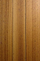Obraz premium Close-up oak wood, smooth grain, subtle texture, nature, pattern