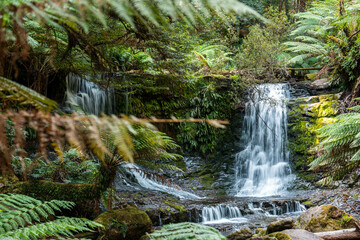 tourist hiking in a national park, taking a photo and looking at a waterfall in a forest in tasmania australia