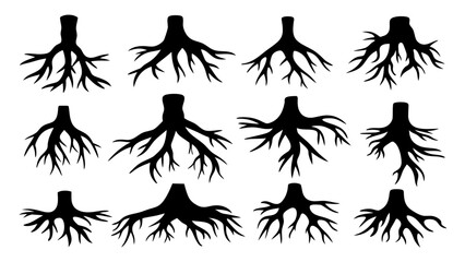 Fototapeta premium Set of tree roots silhouette