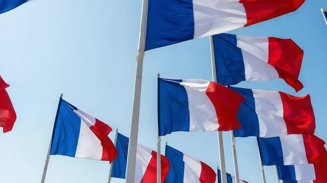 Bastille day french flags flutter in the wind under a clear sky