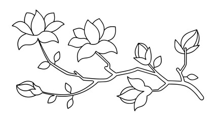 Magnolia flower, magnolia tree branch line art
