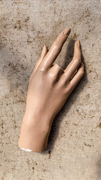 Mannequin Hand