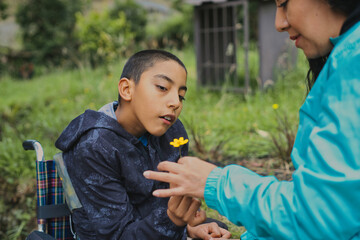 Woman giving flower to boy in wheelchair in garden