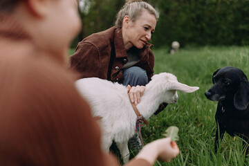 Active middle age woman interacting with two dogs outdoors in green nature, promoting wellbeing and...