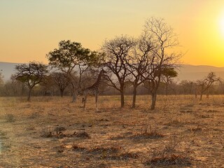 Fototapeta premium Magical sunsets from all over the world