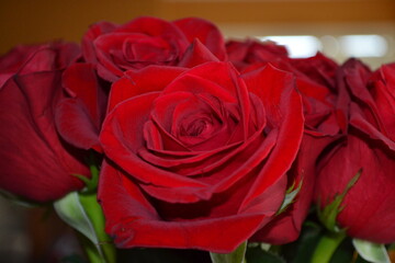bouquet of red roses