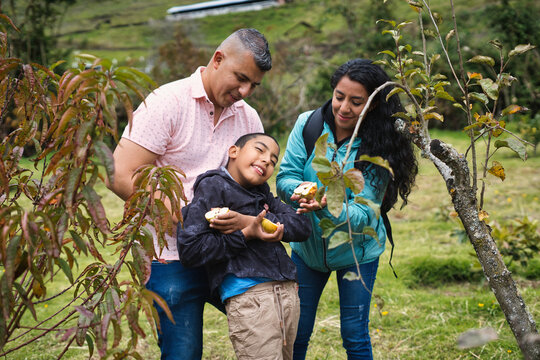 Happy latin american family picking apples in an orchard